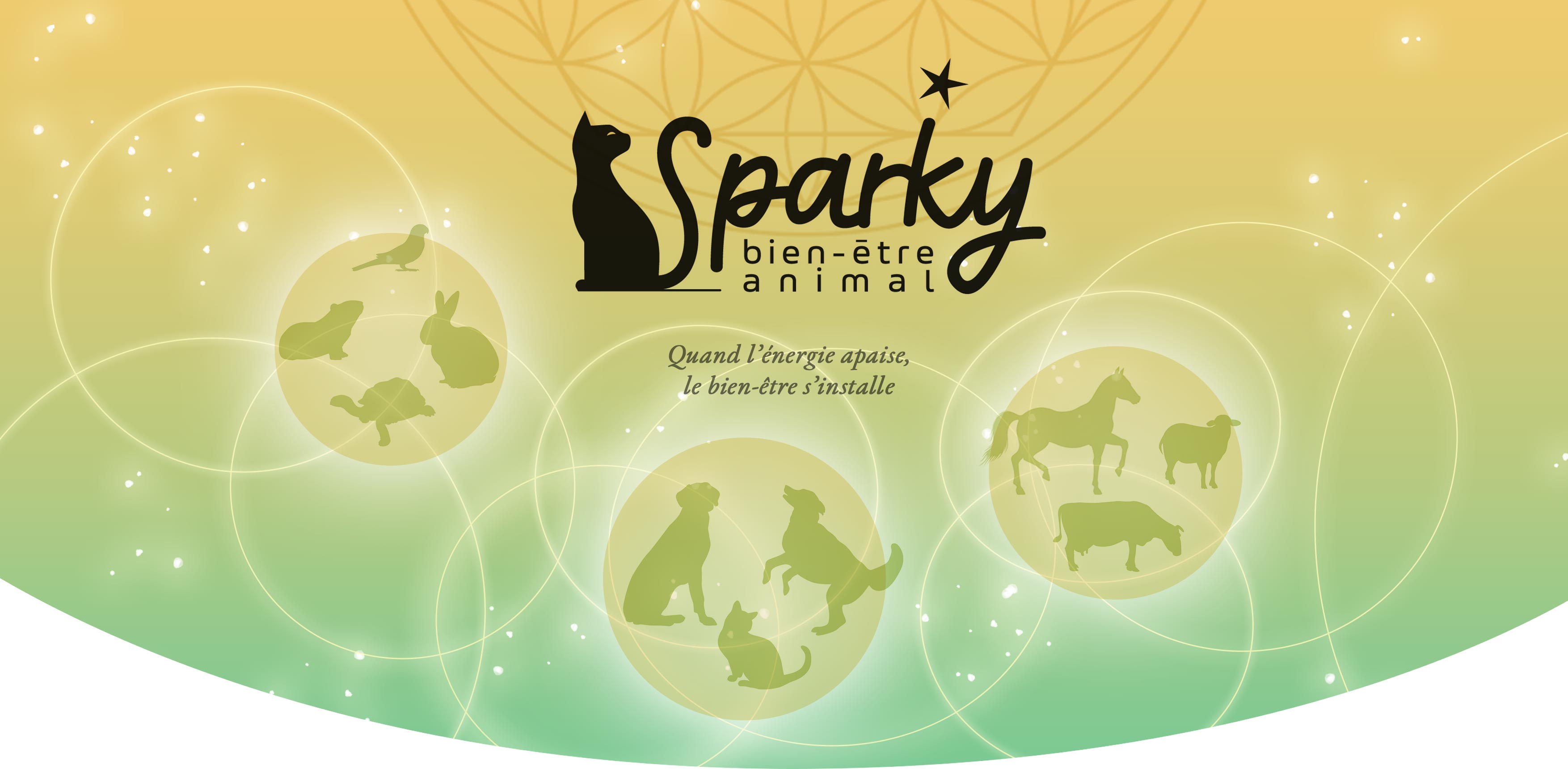Sparky bien-être animal : Quand l&amp;#39;énergie apaise, le bien-être s&amp;#39;installe - séances énergétiques pour animaux